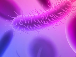 一站式基因组学平台助您发现微生物世界